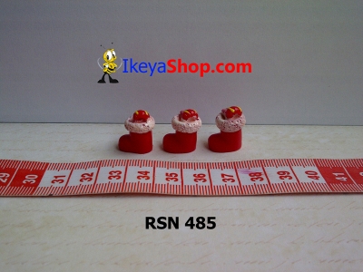 rsn 485  large2